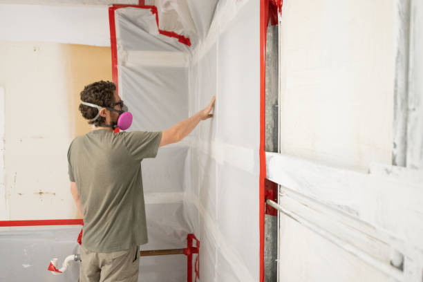  National City, CA Mold Removal Pros