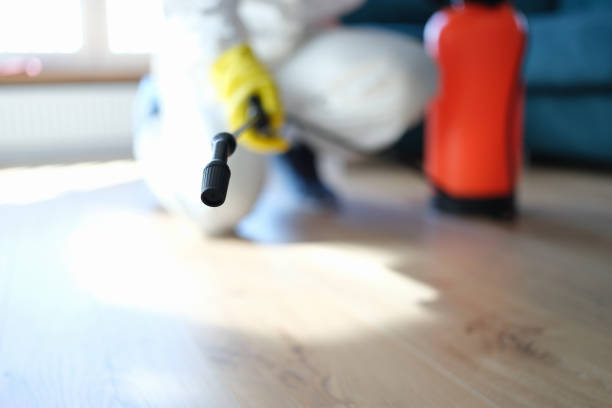 National City, CA Mold Removal Company